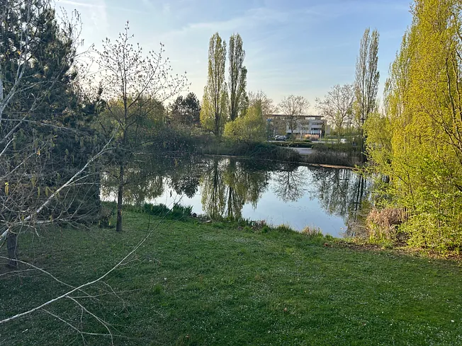 Bureaux climatisés à louer à Entzheim